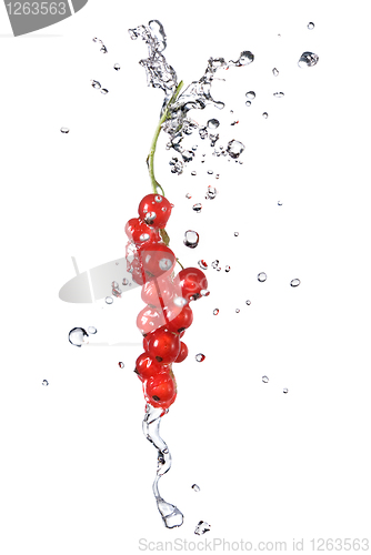 Image of redcurrant and water drops isolated on white