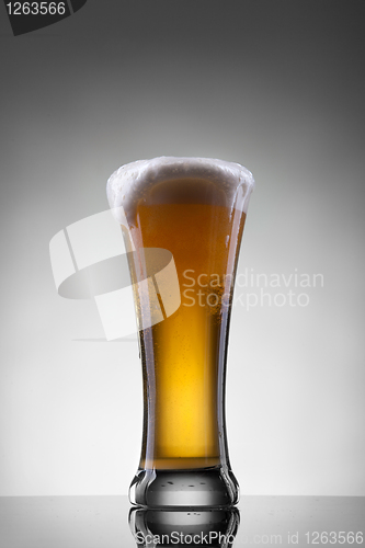 Image of Beer in glass on white background