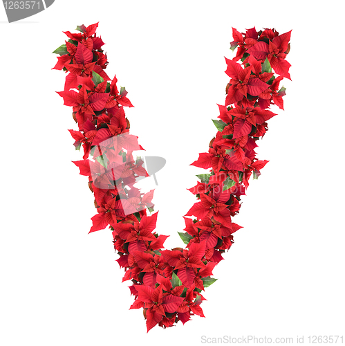 Image of letter from red christmas flowers isolated on white