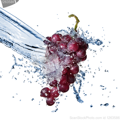 Image of blue grape with water splash isolated on white