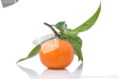 Image of Tangerine with green leaves isolated on white