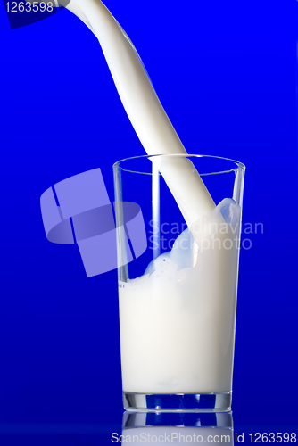 Image of Milk splash isolated on blue