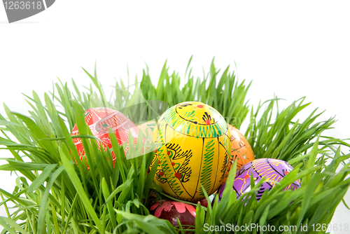 Image of color easter eggs in nest from green grass on white