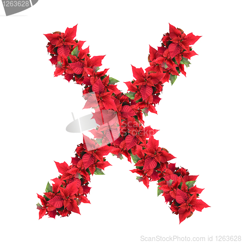 Image of letter from red christmas flowers isolated on white