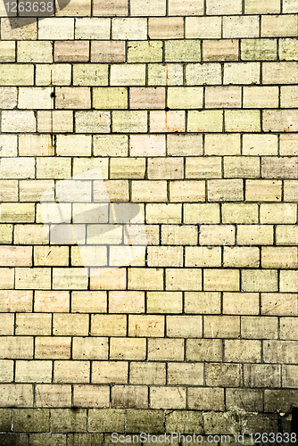 Image of Grunge old bricks wall texture