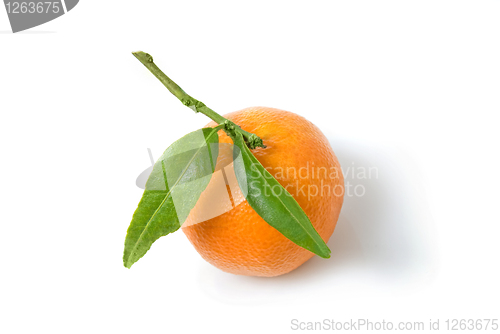 Image of Tangerine with green leaves isolated on white