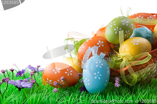 Image of color easter eggs in basket isolated on white