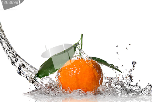 Image of Tangerine with water splash isolated on white