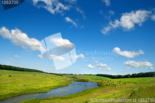 Image of Summer landscape