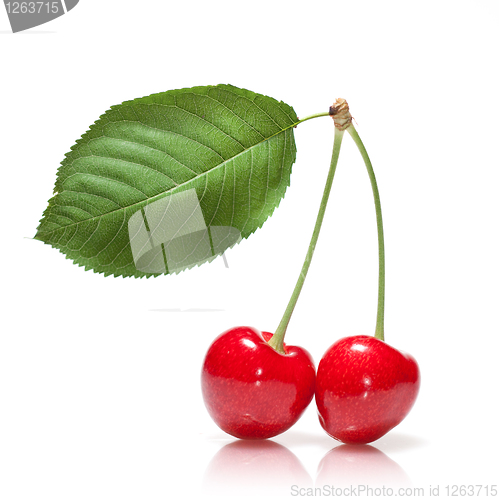 Image of red cherry with leaf isolated on white