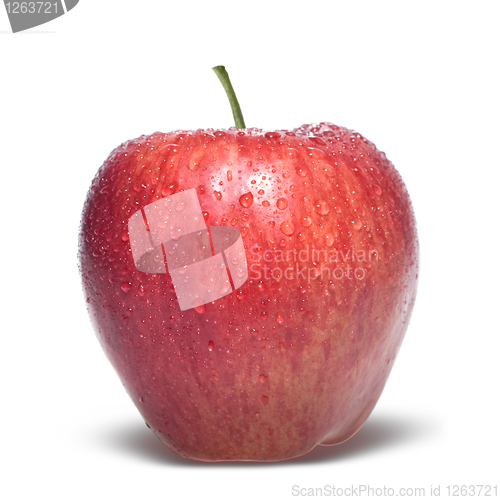 Image of red apple with water drops isolated on white