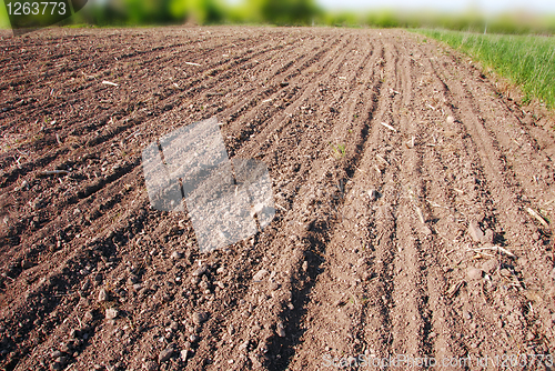 Image of Plowed field