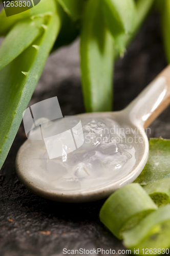 Image of aloe vera juice with fresh leaves