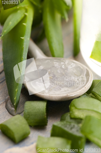 Image of aloe vera juice with fresh leaves