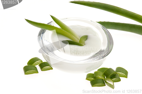 Image of aloe vera - leaves and cream isolated on white background 