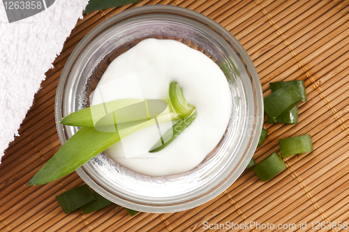 Image of aloe vera - leaves and face cream