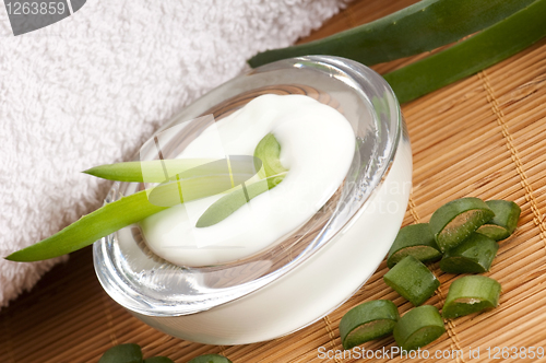 Image of aloe vera - leaves and face cream