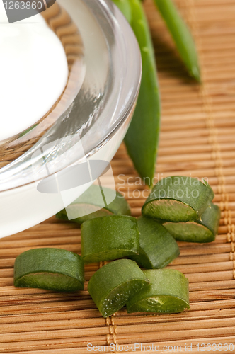 Image of aloe vera - leaves and face cream
