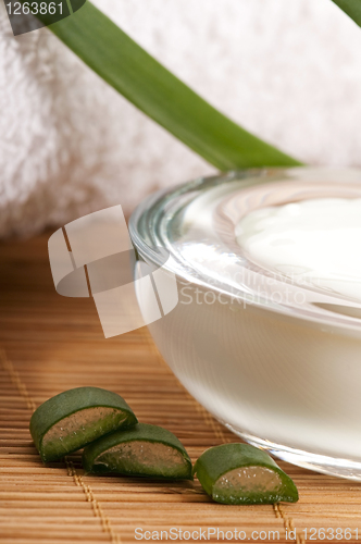 Image of aloe vera - leaves and face cream