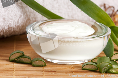 Image of aloe vera - leaves and face cream