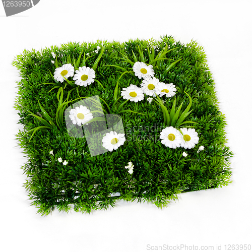 Image of Artificial grass