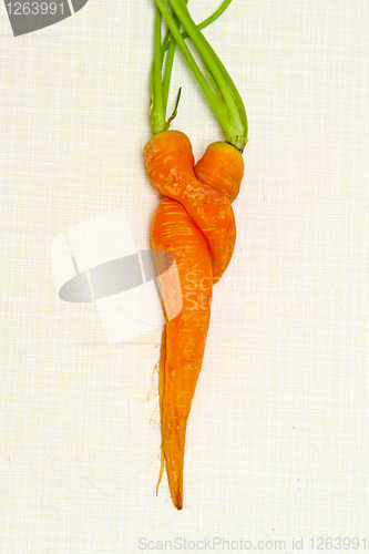 Image of Carrots pair