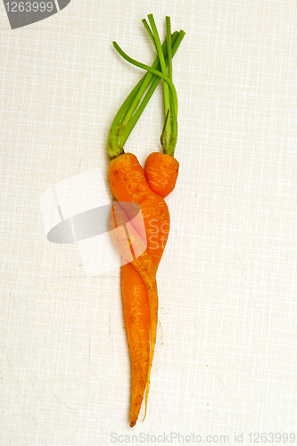 Image of Love carrots