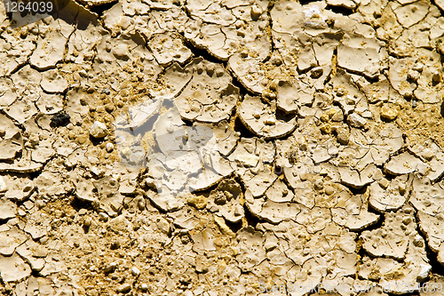 Image of Cracked land