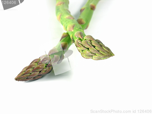 Image of vegetable - asparagus