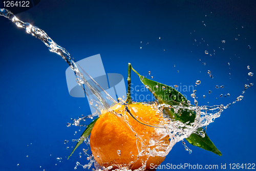 Image of Tangerine with green leaves and water splash on blue background