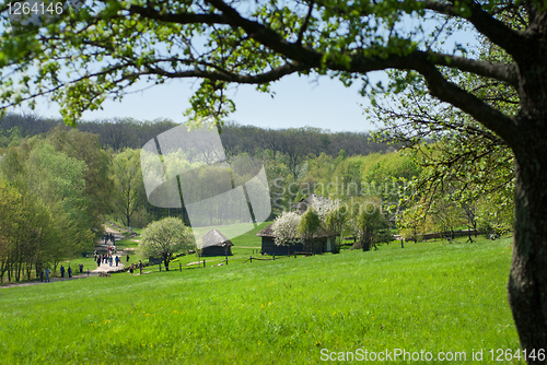 Image of old houses on green meadow