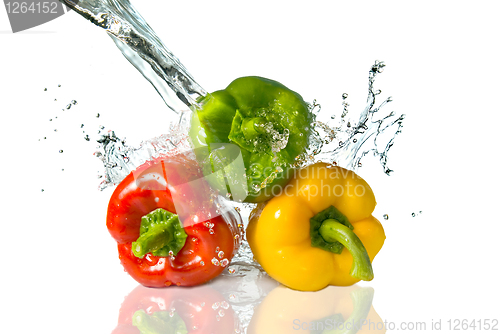 Image of red, yellow, green pepper with water splash isolated on white