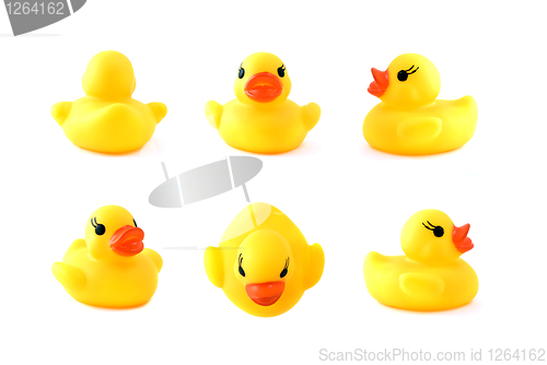 Image of rubber yellow duck isolated on white