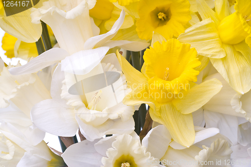 Image of bouquet from white and yellow narcissus