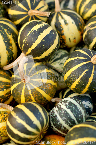 Image of background from small pumpkins