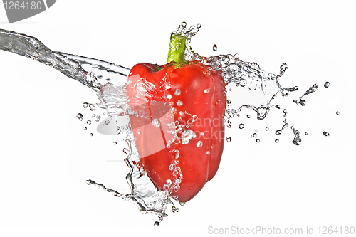 Image of fresh water splash on red sweet pepper isolated on white