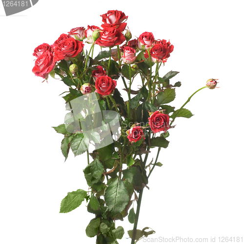Image of red rose bouquet isolated on white
