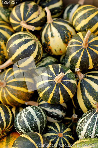 Image of background from small pumpkins