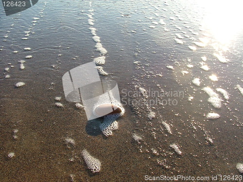 Image of Tide