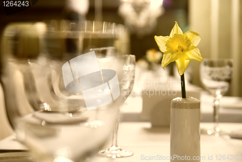 Image of Glass goblets with flower on the table