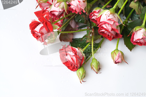 Image of red rose bouquet on white