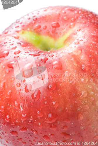 Image of red apple with water drops isolated on white