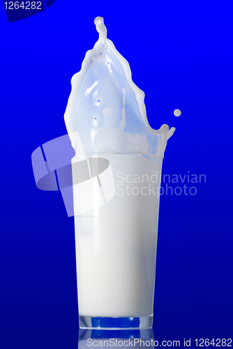 Image of Milk splash isolated on blue