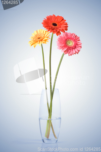 Image of Bouquet from daisy-gerbera in glass vase