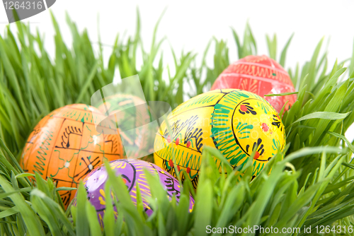 Image of color easter eggs in nest from green grass on white