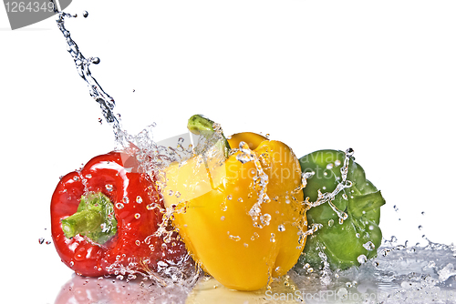 Image of red, yellow and green pepper with water splash isolated on white