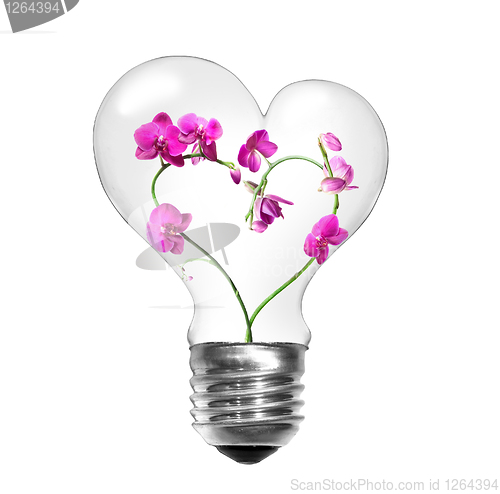 Image of Natural energy concept. Light bulb with orchids in shape of hear
