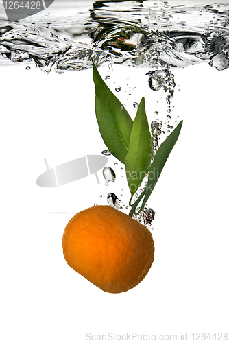Image of tangerine dropped into water with bubbles on white