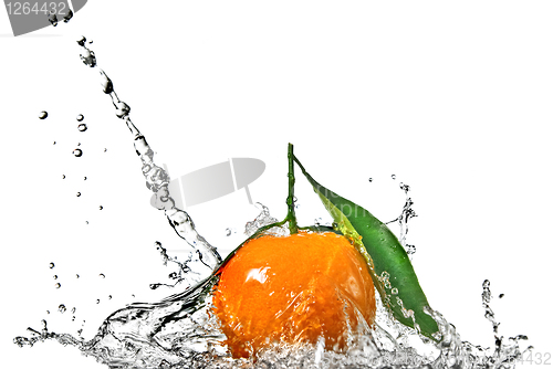 Image of Tangerine with green leaves and water splash isolated on white