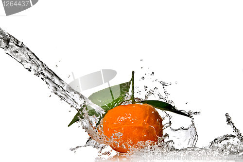 Image of Tangerine with green leaves and water splash isolated on white